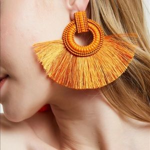 Fashion earrings
